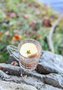 autumn wassail recipe - no alcohol