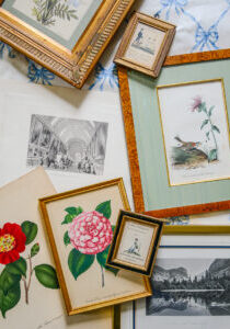 Flatlay of various types of prints for collector's notes series