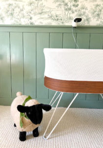James' green and white woodland themed nursery with Snoo bassinet